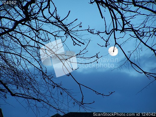 Image of moon on the blue sky