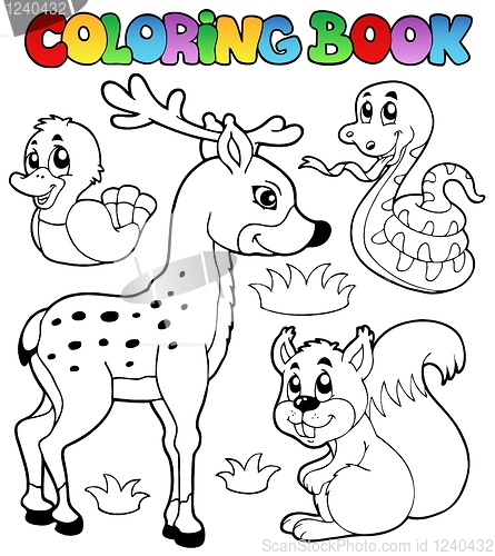 Image of Coloring book with forest animals 2