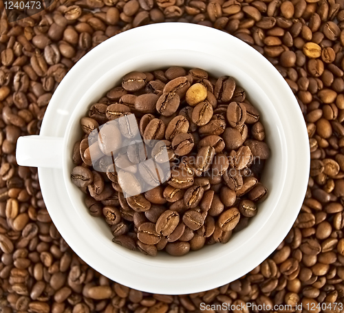 Image of Coffee beans in the cup against the grain of