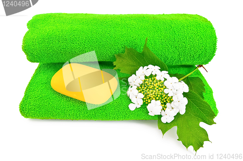 Image of Green towel with soap and snowball