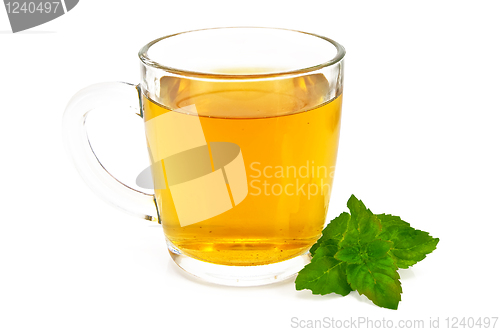 Image of Herbal tea with mint