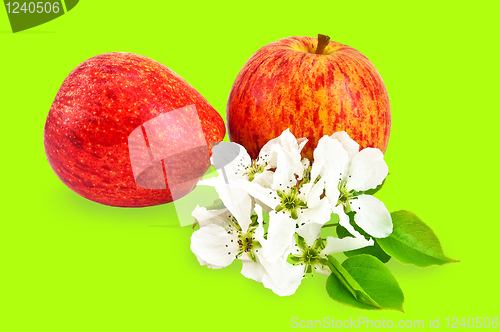 Image of Red apples with flowers