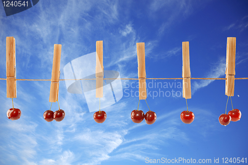 Image of Sweet red cherries and clothes line