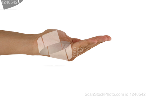 Image of gesture of man hand open