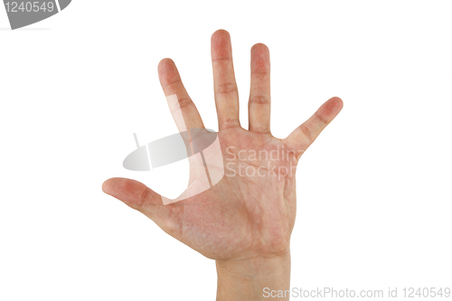 Image of Open hand over white background