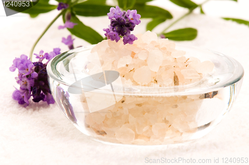Image of Bath Salt With Fresh Lavender Flowers