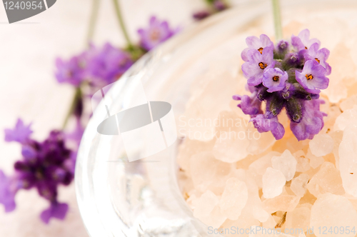 Image of Bath Salt With Fresh Lavender Flowers