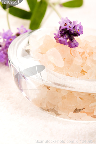 Image of Bath Salt With Fresh Lavender Flowers