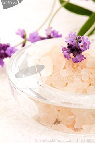 Image of Bath Salt With Fresh Lavender Flowers