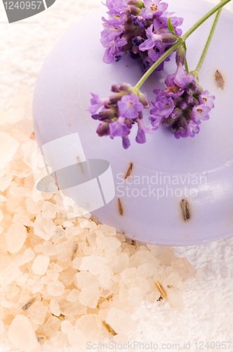 Image of Soap With Fresh Lavender Flowers And Bath Salt