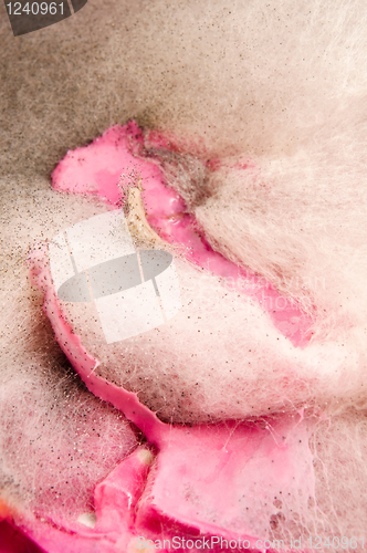 Image of Soup damaged by mold, extreme closeup of texture 