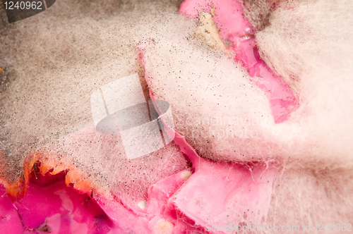 Image of Soup damaged by mold, extreme closeup of texture 