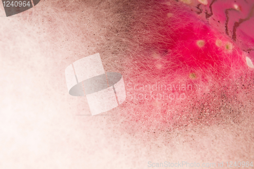 Image of Soup damaged by mold, extreme closeup of texture 