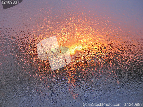 Image of water drops and sunlight