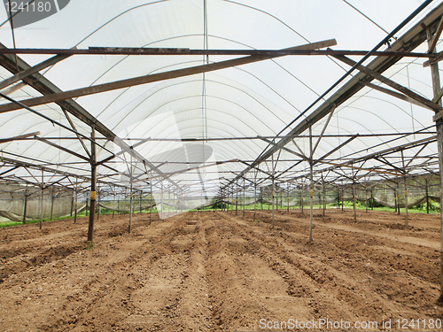 Image of Greenhouse