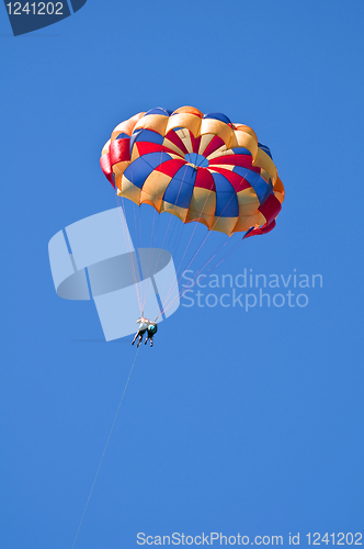 Image of Parasailing under blue sky.