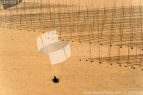 Image of Boat near the seaweed farm