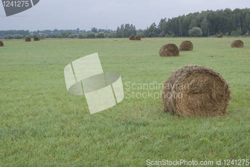 Image of Hay stacks