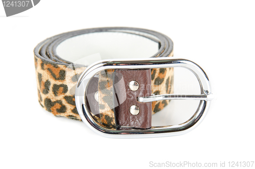 Image of leopard belt