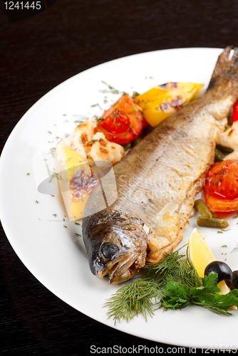 Image of trout fish