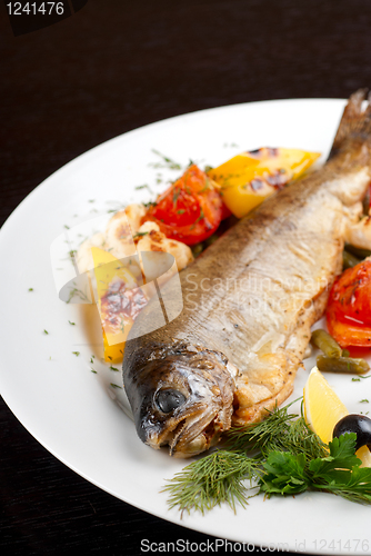 Image of trout fish