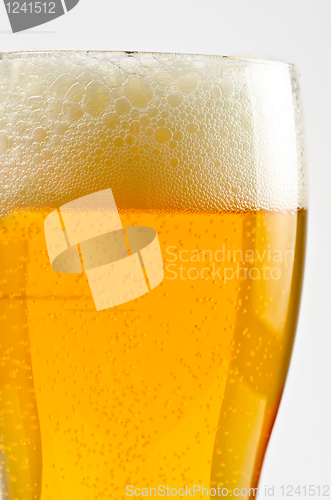 Image of Glass of beer