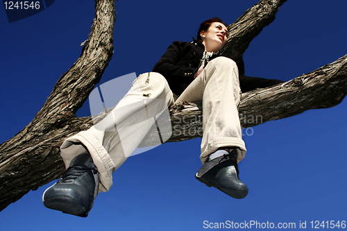 Image of Girl in a tree