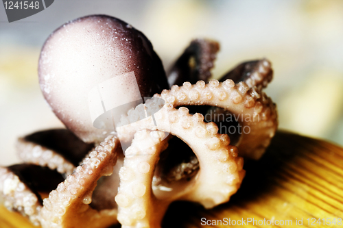 Image of Seafood