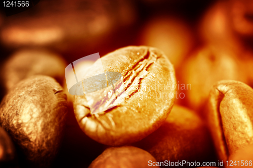 Image of Fragrant fried coffee beans 