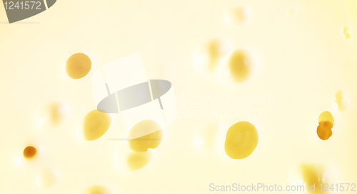 Image of Roquefort cheese