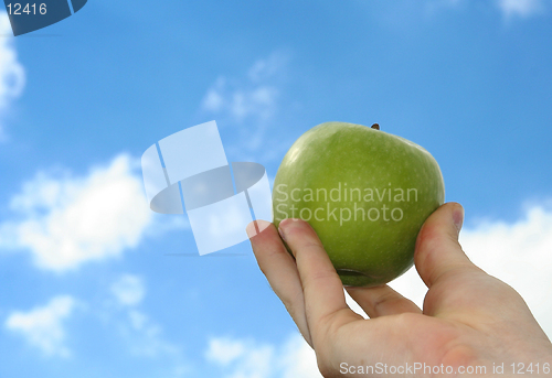 Image of apple