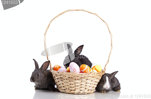 Image of Easter Rabbits
