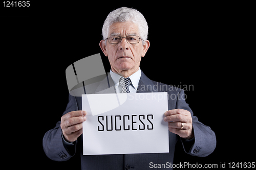 Image of Successful senior businessman