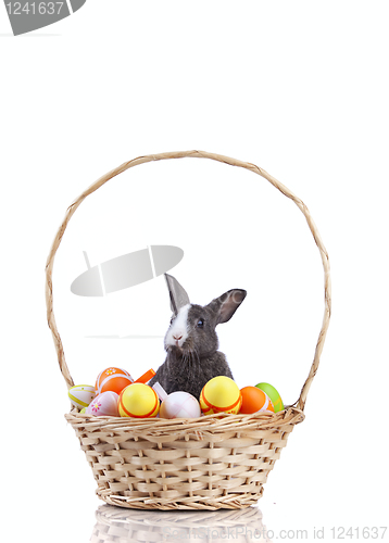 Image of Easter Rabbits