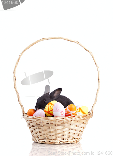 Image of Easter Rabbits