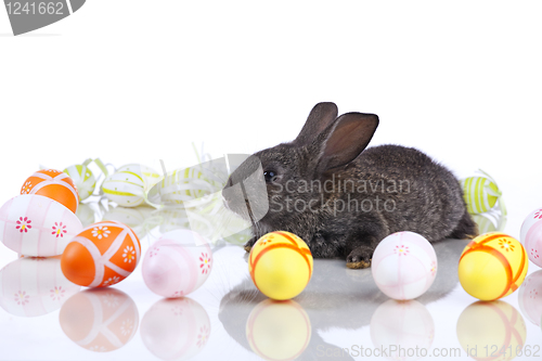 Image of Easter Rabbits