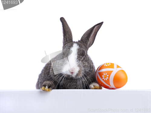 Image of Easter rabbit holding a banner