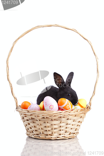 Image of Easter Rabbits