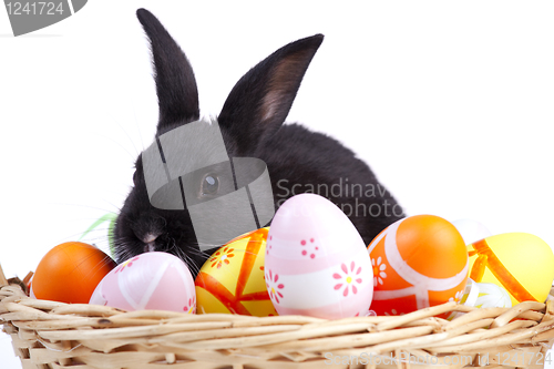 Image of Easter Rabbits