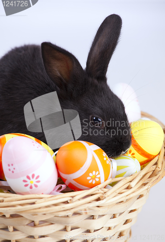 Image of Easter Rabbits