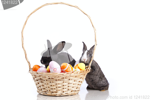 Image of Easter Rabbits