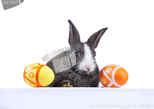 Image of Easter rabbit holding a banner