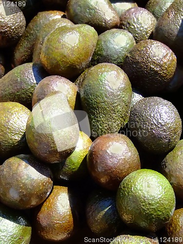 Image of Avocado