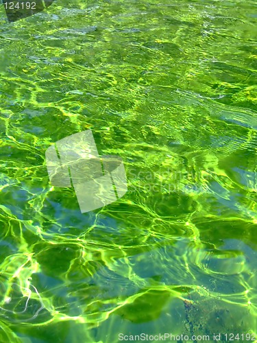 Image of Green liquid