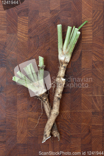 Image of Horse Radish