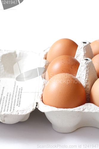 Image of Eggs