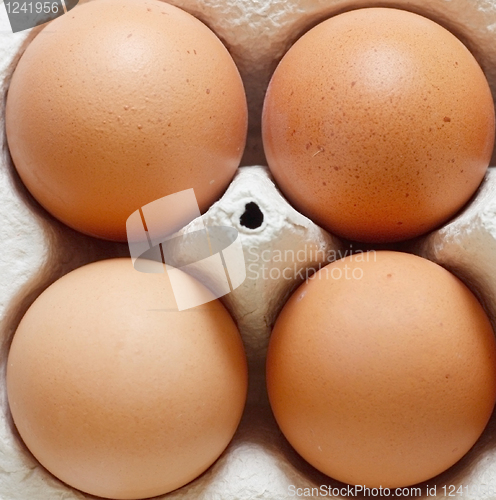 Image of Eggs