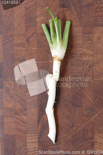 Image of Horse Radish