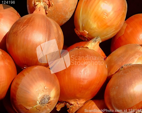 Image of Red onion