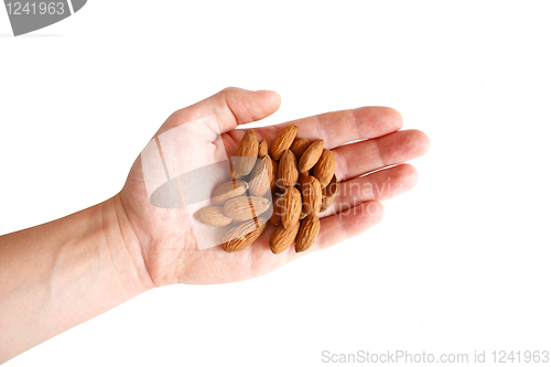 Image of Almonds